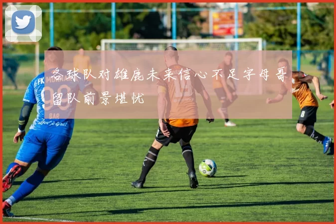 各球队对雄鹿未来信心不足字母哥留队前景堪忧